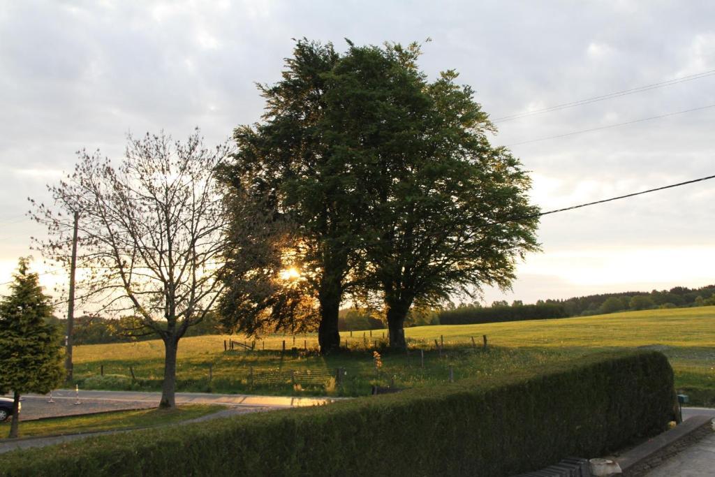 B&B Sol Magnus Stavelot Exteriör bild