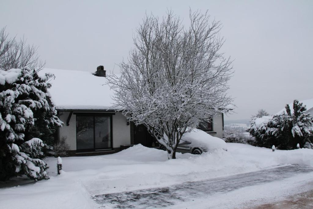 B&B Sol Magnus Stavelot Exteriör bild