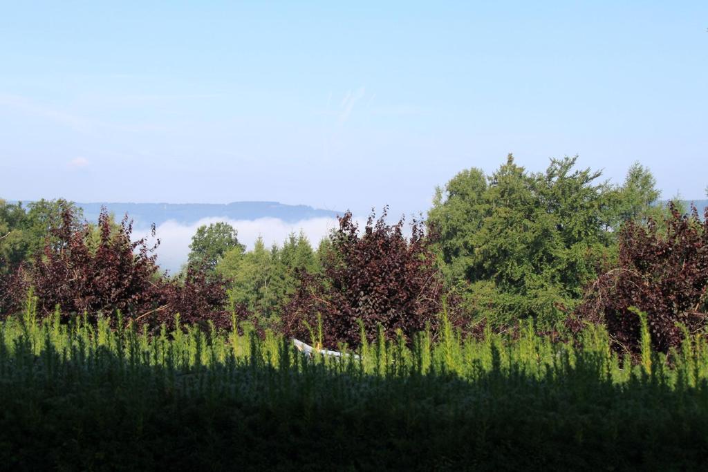 B&B Sol Magnus Stavelot Exteriör bild